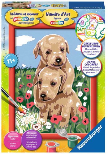 Ravensburger Schilderen op nr. knuffel. puppies 27715