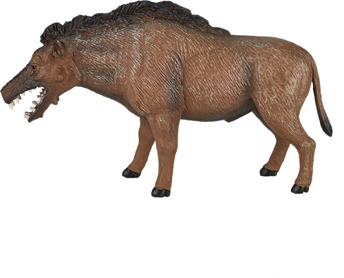Mojo speelgoed dinosaurus Entelodont Daeodon - 387156